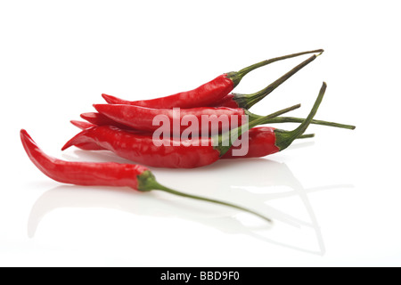 Il peperoncino rosso e caldo su sfondo bianco Foto Stock