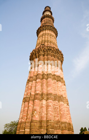 Il Qutb Minar torre, nella Qutb Minar complesso, Delhi, India Foto Stock