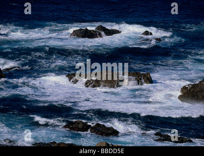 Spruzzata dell'onda Foto Stock