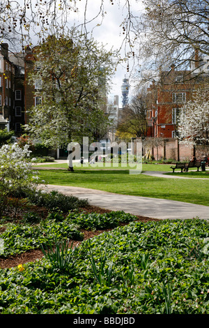 St Georges Giardini Bloomsbury a Londra Foto Stock