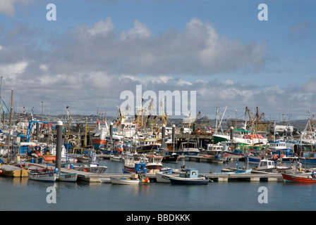 Barche da pesca nel Porto di Newlyn Newlyn Cornovaglia Foto Stock