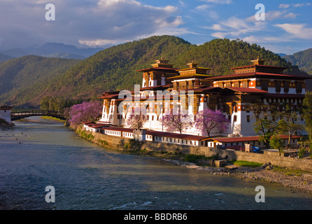 Punakha Dzong - Bhoutan Foto Stock