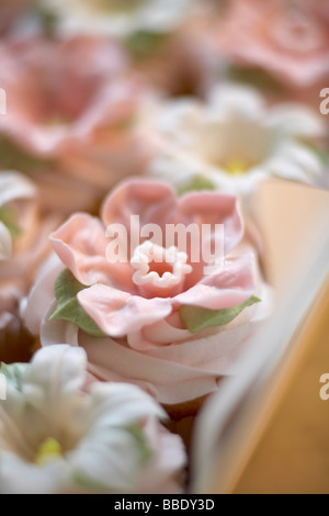 Cupcakes Foto Stock