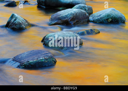 Pietre in Brook, montagne verdi, Vermont, USA Foto Stock