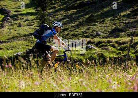 Mountain Biker, Alpbachtal, Tirolo del nord, Austria, Europa Foto Stock