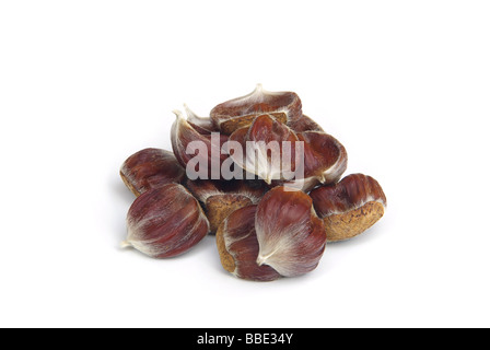 Esskastanie sweet chestnut 01 Foto Stock