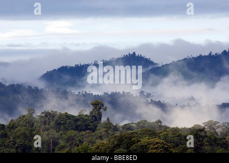 Cloud Forest landscape - Sachatamia Riserva della foresta pluviale - Mindo, Ecuador Foto Stock