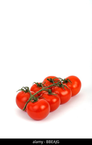 Freschi pomodori a grappolo (solanum) Foto Stock