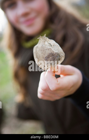 Close-up di ragazza adolescente tenendo un seme Pod, Hillsboro, Oregon, Stati Uniti d'America Foto Stock