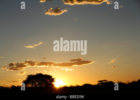 Tramonto nel Parco Nazionale di Etosha, Regione di Kunene, Namibia Foto Stock