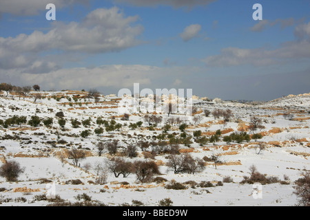 La giudea neve in Gush Etzion Foto Stock