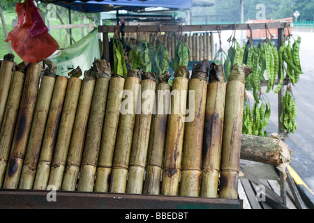 Preparazione lemang, il malese hawker delicatezza del riso cotto in bambù Foto Stock