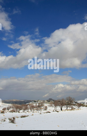 La giudea neve in Gush Etzion Foto Stock