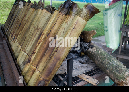 Preparazione lemang, il malese hawker delicatezza del riso cotto in bambù Foto Stock