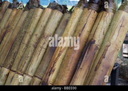 Preparazione lemang, il malese hawker delicatezza del riso cotto in bambù Foto Stock