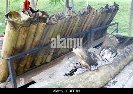 Preparazione lemang, il malese hawker delicatezza del riso cotto in bambù Foto Stock