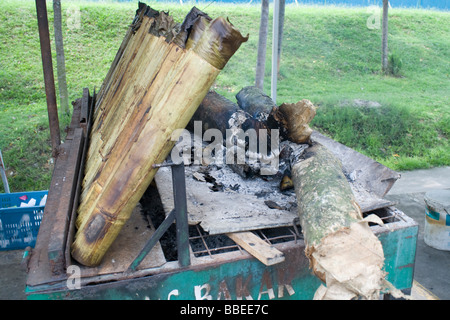 Preparazione lemang, il malese hawker delicatezza del riso cotto in bambù Foto Stock