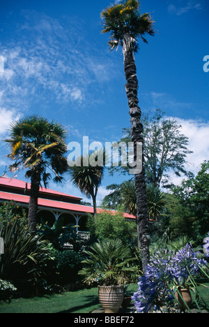 Inghilterra Weymouth Dorset Abbotsbury giardini sub-tropicali in stile coloniale teahouse dietro di palme e piante esotiche e fiori Foto Stock