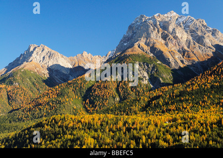 La foresta e la montagna, il Piz Lischana, Scuol, Svizzera Foto Stock