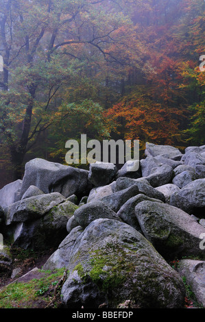 Esecuzione di pietra nella foresta, Reichenbach, Odenwald, Hesse, Germania Foto Stock