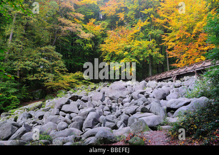 Esecuzione di pietra nella foresta, Reichenbach, Odenwald, Hesse, Germania Foto Stock