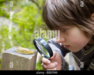 Ragazzo esaminando Banana Slug Foto Stock