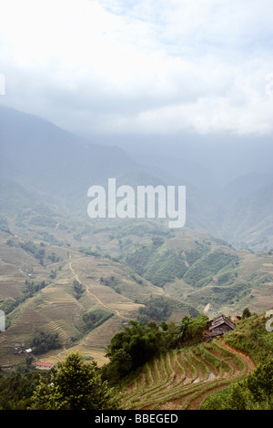 I campi di riso, Sa Pa, Lao Cai Provincia, Vietnam Foto Stock