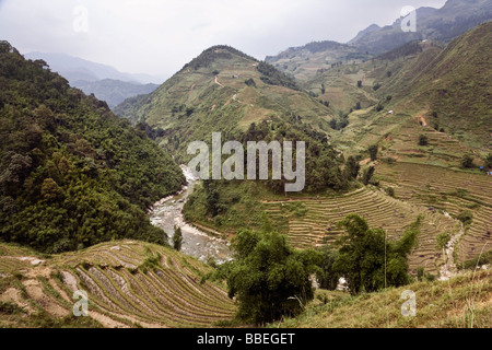 I campi di riso, Sa Pa, Lao Cai Provincia, Vietnam Foto Stock