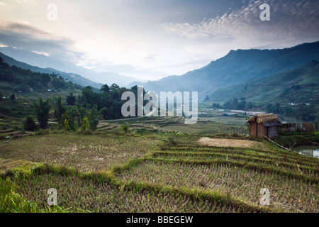 I campi di riso, Sa Pa, Lao Cai Provincia, Vietnam Foto Stock