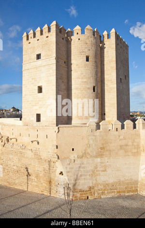 Torre di Calahorra a Cordoba Spagna Foto Stock