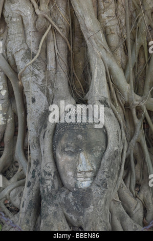 Il carving, Ayutthaya, Thailandia Foto Stock