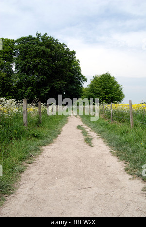 Il percorso che conduce a Waylands Smithy un neolitico long barrow a pochi metri da la Ridgeway Foto Stock