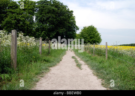 Il percorso che conduce a Waylands Smithy un neolitico long barrow a pochi metri da la Ridgeway Foto Stock