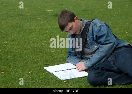 Ragazzo adolescente di revisione per gli esami di livello nel parco Foto Stock