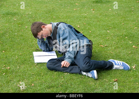 Ragazzo adolescente di revisione per gli esami di livello nel parco Foto Stock
