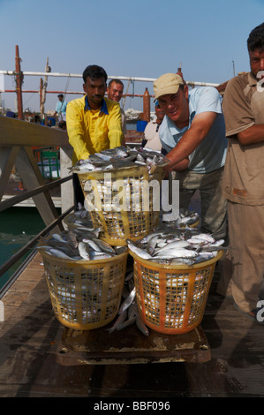 I pescatori spingendo i loro raccoglitori con un fermo lungo un ponte dalla barca per il mercato del pesce in Kuwait. Foto Stock