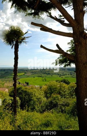 Tipico paesaggio toscano con alberi e agriturismo in Italia Foto Stock