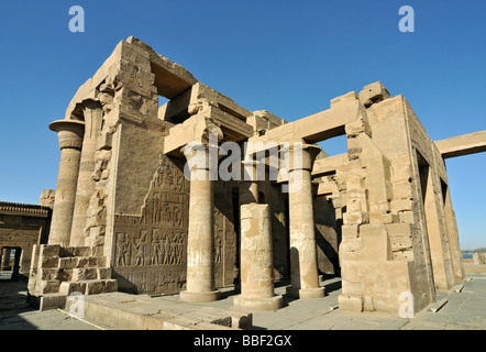 Hypostyle Hall del tempio di Haroeris e Sobek in Kom Ombo Egitto Foto Stock