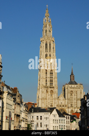 Suikerrui street, guglia della Cattedrale di Nostra Signora, Anversa, Belgio Foto Stock