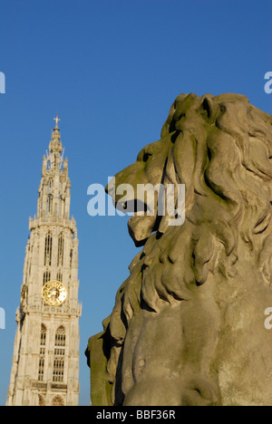 Leone di pietra con la guglia della Cattedrale di Nostra Signora, Anversa, Belgio Foto Stock