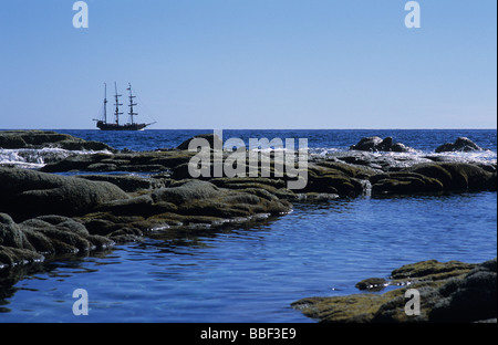 Grandi barche a vela che assomiglia a una nave pirata nel mare di Cortez off costa di Baja California, Messico. © Craig M. Eisenberg Foto Stock