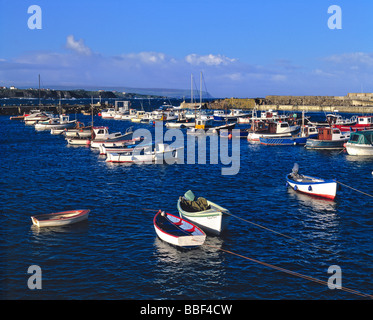 Piccole barche da pesca riempire il porto a Portrush in Irlanda del Nord Foto Stock