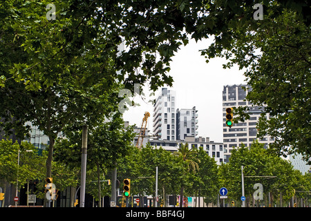 Edifici alti incorniciata dagli alberi, Diagonal Avenue (Avinguda Diagonal Barcelona, Spagna Foto Stock