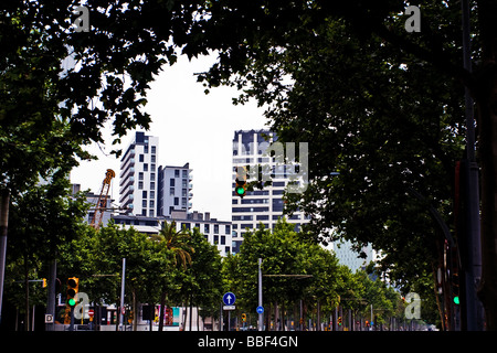 Edifici alti incorniciata dagli alberi, Diagonal Avenue (Avinguda Diagonal Barcelona, Spagna Foto Stock