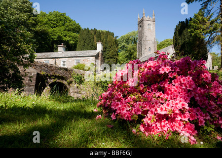 Altarnun chiesa in primavera, Cornwall Foto Stock