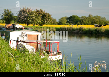 Chiatta ormeggiata su una tranquilla della parte superiore Tamigi vicino a Oxford Oxfordshire Uk Foto Stock