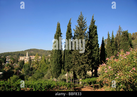 Israele Gerusalemme Montagne Vista di Ein Karem da St Vincent Foto Stock