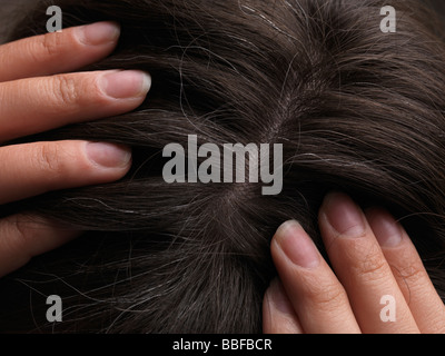 I capelli grigi su una testa di donna Foto Stock