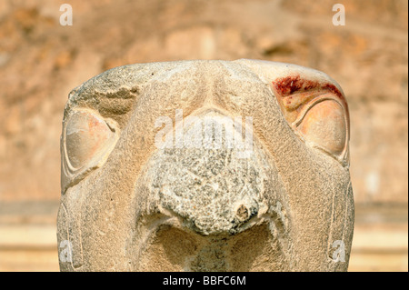 Close up del falco Horus statua al tempio mortuario della Regina Hatshepsut a Deir el-Bahri vicino a Luxor Egitto Foto Stock