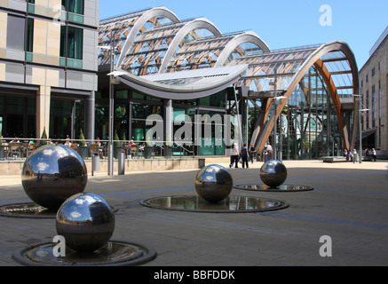 I giardini invernali, Sheffield South Yorkshire, Inghilterra, Regno Unito Foto Stock